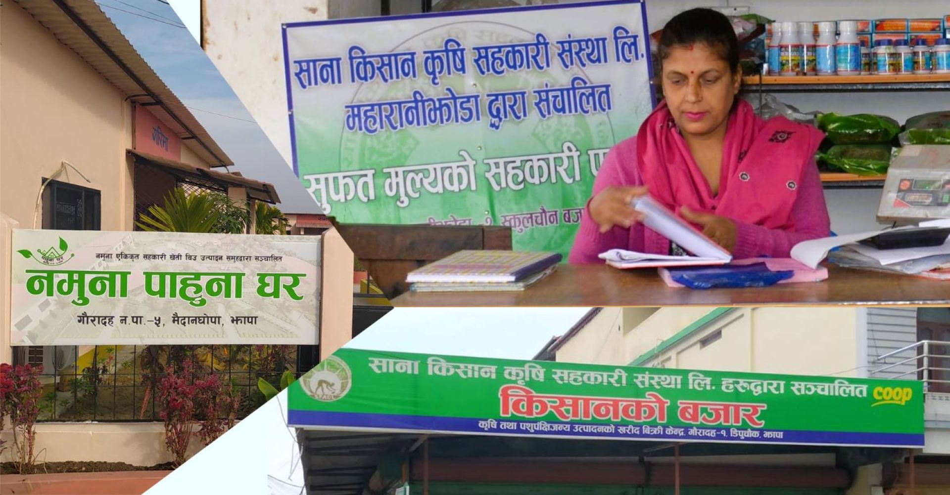 सहकारीको उदाहरणीय मोडेल महारानीझोडा: नमुना बन्यो  ‘सहकारी खेती’ र ‘कृषि घरबास’